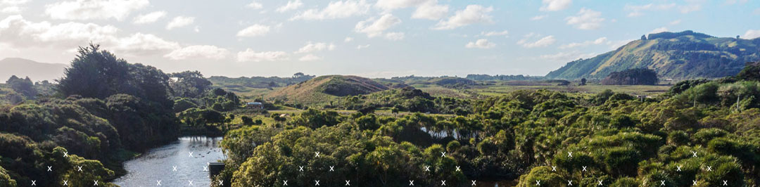 HYS Kapiti Whaitua banner