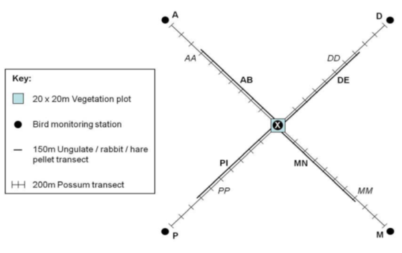 monitoring layout