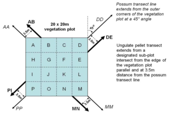 possum/ungulates plot layout