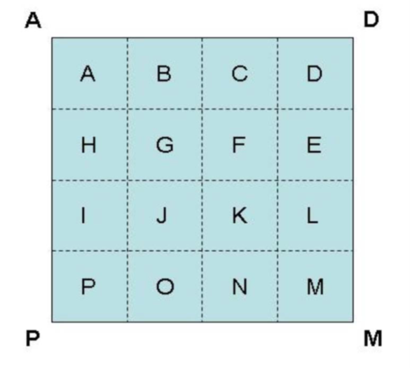 vegetation plot layout