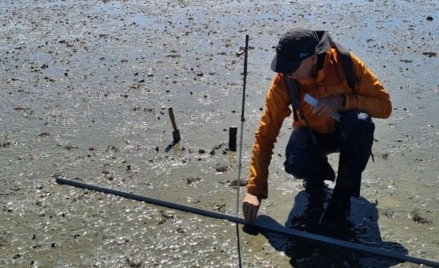 Te Awarua-o-Porirua Harbour Sediment Plate Monitoring