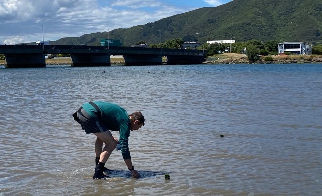 Hutt Estuary Intertidal Sediment Monitoring