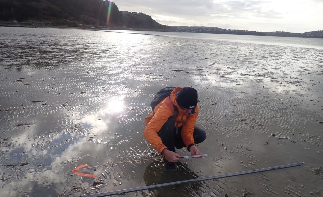 Te Awarua-o-Porirua Harbour Sediment Plate Monitoring