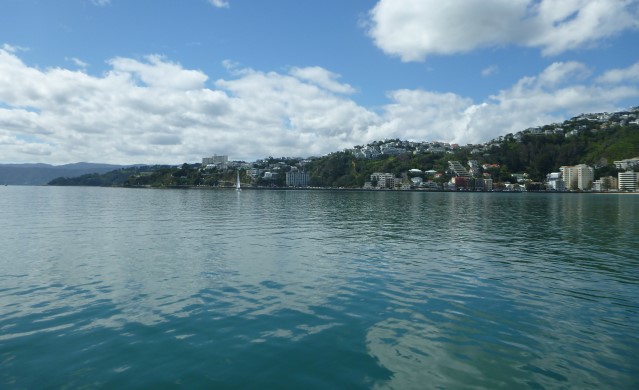 Te Whanganui-a-Tara (Wellington Harbour) Subtidal Monitoring