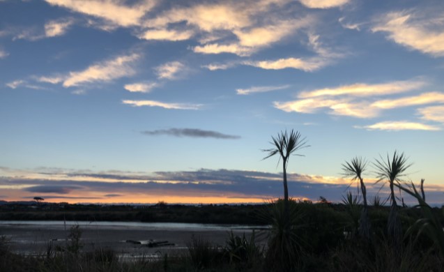 Waikanae Estuary Intertidal Sediment Monitoring