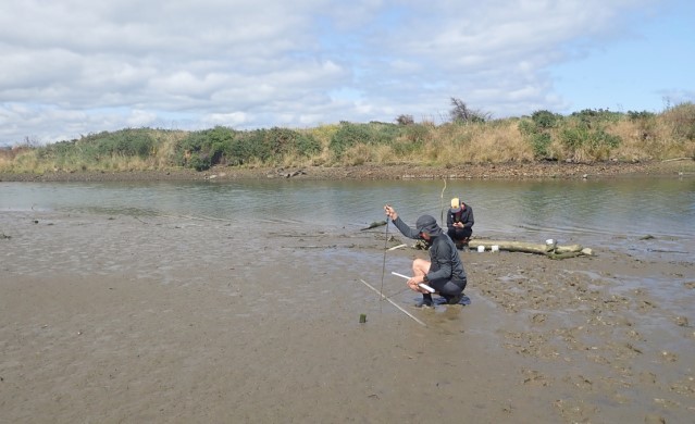 Waikanae Estuary Sediment Monitoring