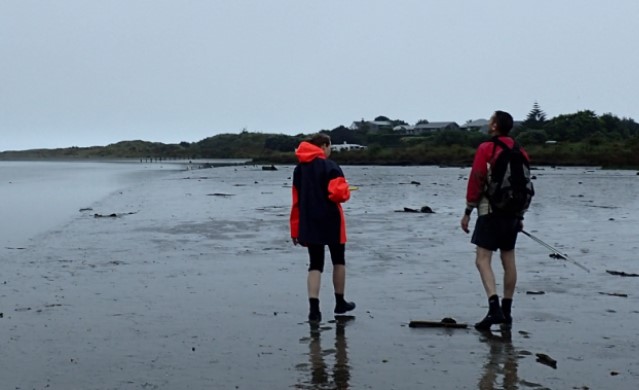 Waikanae Estuary Intertidal Sediment Monitoring