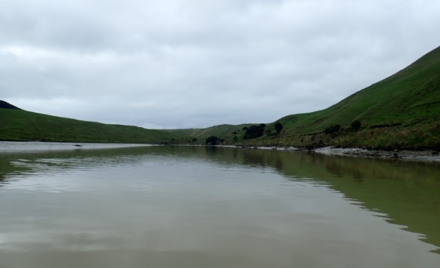 Fine Scale Intertidal Monitoring of Whareama Estuary