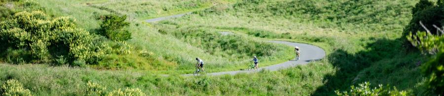 Cycling the inland track at Queen Elizabeth Park