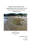 Appendix C2: Seagrass Survey preview