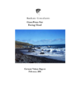 Cultural Values Report (Raukura, 2011) preview