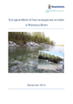 Ecological effects of flood management activities in Wairarapa Rivers preview