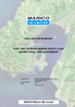 Wellington Harbour Port and Harbour Marine Safety Code Navigational Risk Assessment preview