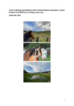 Toitū Te Whenua Parks Network Plan Restricted Activity Assessment - Queen Elizabeth Park (QEP) horse trekking and grazing preview