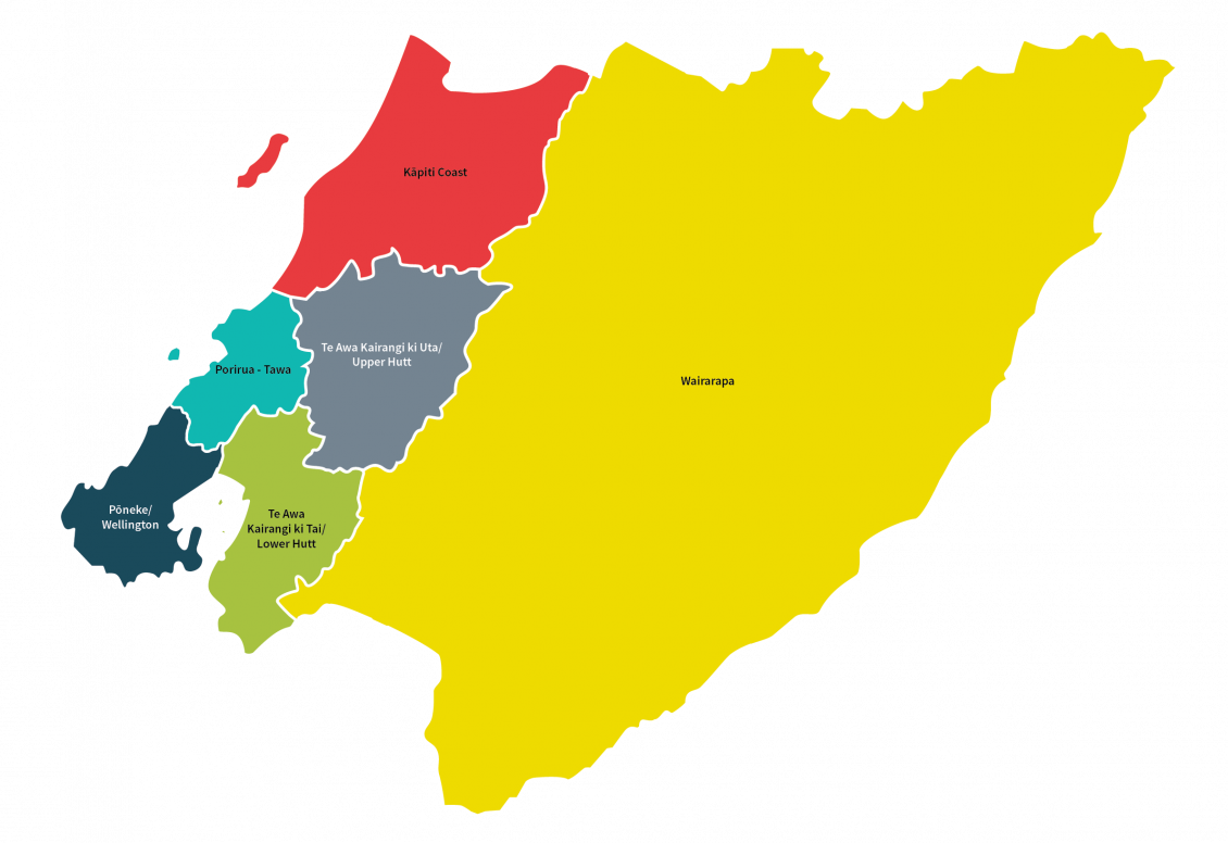 Constituencies of Greater Wellington