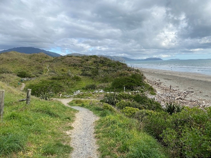 A beach access path at QEP